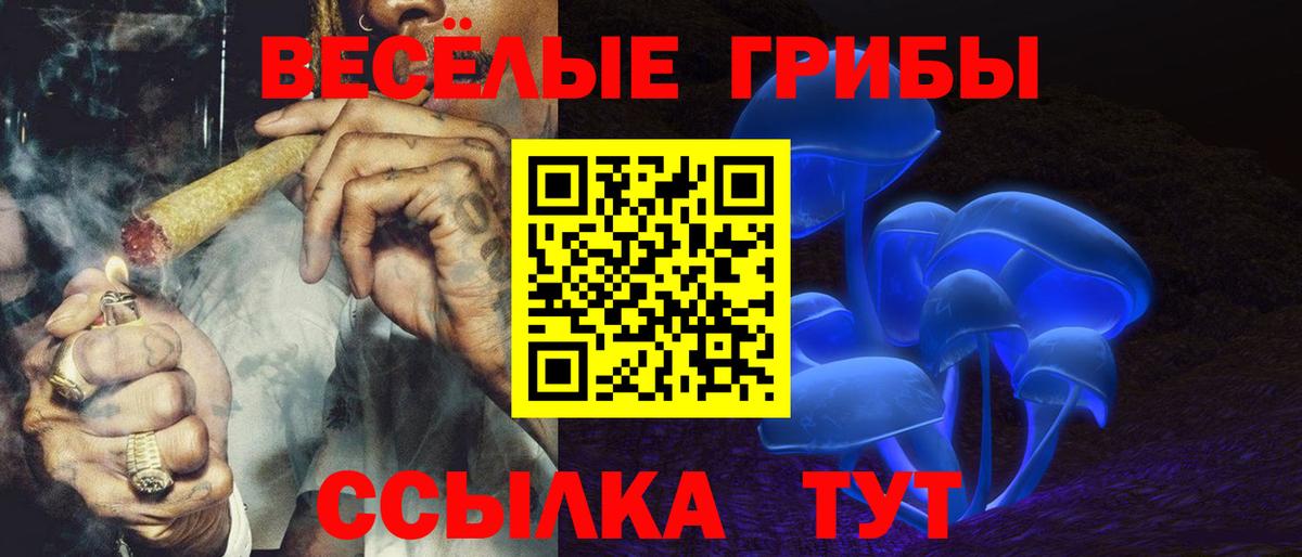 Галлюциногенные грибы мухоморы  наркотики  Галлюциногенные грибы прущие грибы  Кингисепп  Вход с VPN 